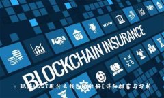 : 现在USDT用什么钱包比较好？详细推荐与分析