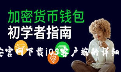 币安官网下载iOS客户端的详细指南