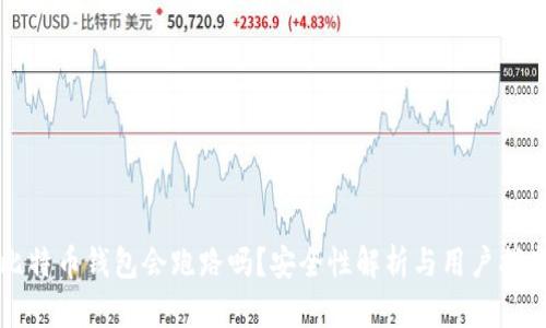 比特币钱包会跑路吗？安全性解析与用户指南