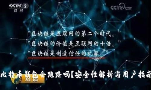 比特币钱包会跑路吗？安全性解析与用户指南