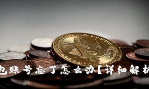 : 比特币钱包账号忘了怎么办？详细解析与解决方案
