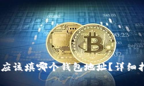 USDT提现地址应该填哪个钱包地址？详细指南与常见问题