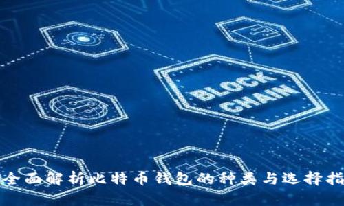 : 全面解析比特币钱包的种类与选择指南