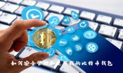 如何安全管理和使用我的比特币钱包
