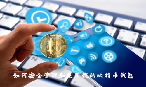 如何安全管理和使用我的比特币钱包
