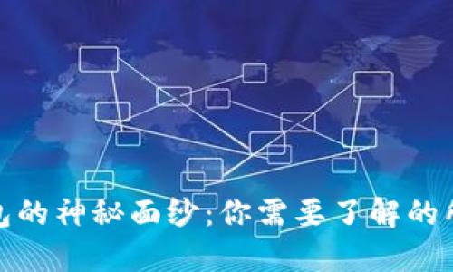 揭开比特币钱包的神秘面纱：你需要了解的所有类型和选择