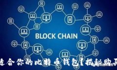   如何选择最适合你的比特币钱包？揭秘购买方式