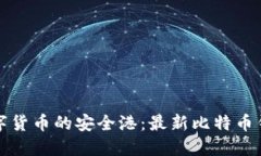 探索数字货币的安全港：最新比特币钱包推荐