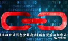 为什么比特币钱包金额庞大？揭秘背后的秘密与