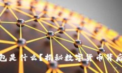 比特币WEB钱包是什么？揭秘数字货币背后的安全