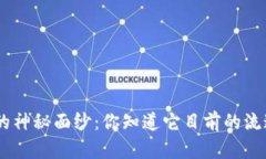 : 揭开BNB币的神秘面纱：你知道它目前的流通量是