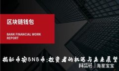 揭秘币安BNB币：投资者的机遇与未来展望