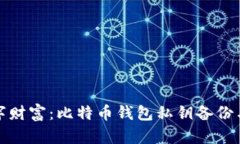保护你的数字财富：比特币钱包私钥备份与导入