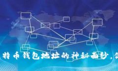 揭秘中本聪比特币钱包地址的神秘面纱，你真的