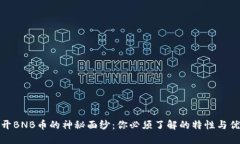 揭开BNB币的神秘面纱：你必须了解的特性与优势