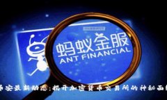 币安最新动态：揭开加密货币交易所的神秘面纱