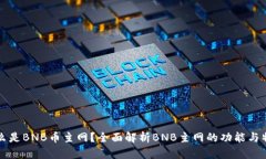 什么是BNB币主网？全面解析BNB主网的功能与特点