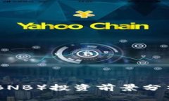 Binance币（BNB）投资前景分析及使用指南