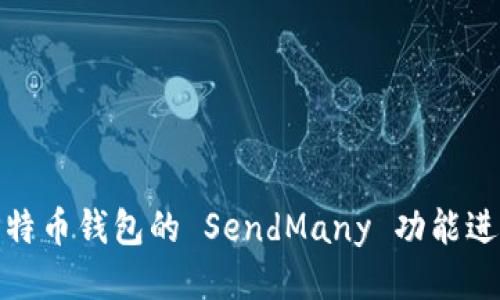 如何使用比特币钱包的 SendMany 功能进行批量转账