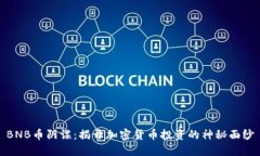 BNB币阴谋：揭开加密货币投资的神秘面纱