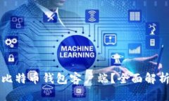 如何选择合适的比特币钱包客户端？全面解析与