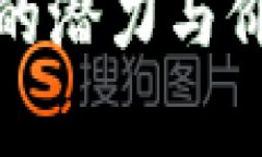 BNB币未来的潜力与价格预期分析