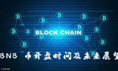BNB 币开盘时间及未来展望