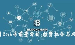 4月Bnb币前景分析：投资机会与风险