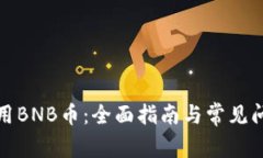 如何借用BNB币：全面指南与常见问题解答
