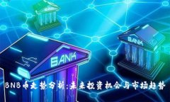 BNB币走势分析：未来投资机会与市场趋势