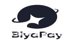 BNB币疯涨的原因及投资分析