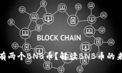 抹茶为何有两个BNB币？解读BNB币的来源与发展