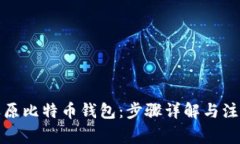 如何还原比特币钱包：步骤详解与注意事项