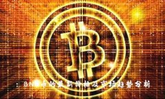 : BNB币的最新价格及市场趋势分析