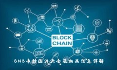 BNB币种图片大全及相关信息详解