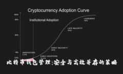 比特币钱包管理：安全与高效并存的策略