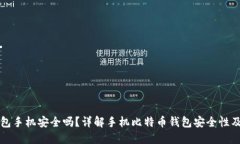比特币钱包手机安全吗？详解手机比特币钱包安