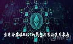 最适合存放USDT的钱包推荐及使用指南