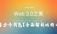 比特币可以存放在多少个钱包？全面解析比特币