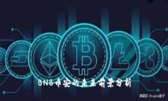 BNB币安的未来前景分析