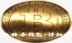 如何设置比特币钱包：详细步骤与指南