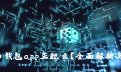 k豆虚拟币钱包app正规么？全面解析与用户指南