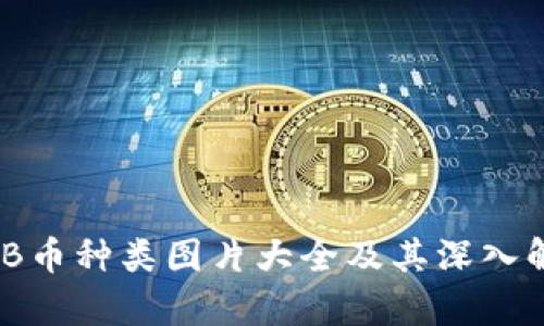 BNB币种类图片大全及其深入解析