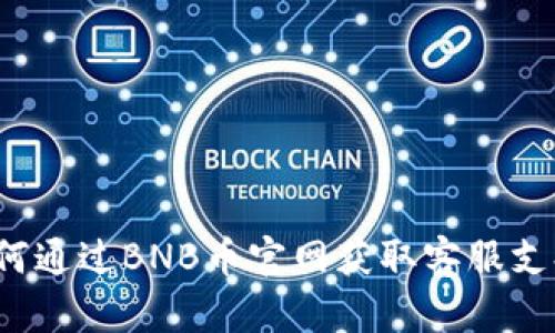 如何通过BNB币官网获取客服支持？