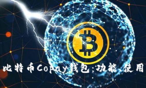全面解析比特币Copay钱包：功能、使用与安全性