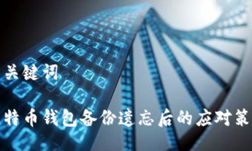 与关键词

比特币钱包备份遗忘后的应对策略