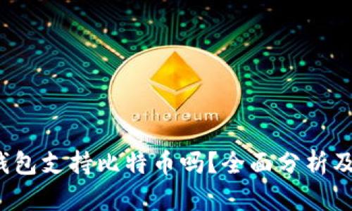 Calibra钱包支持比特币吗？全面分析及用户指南